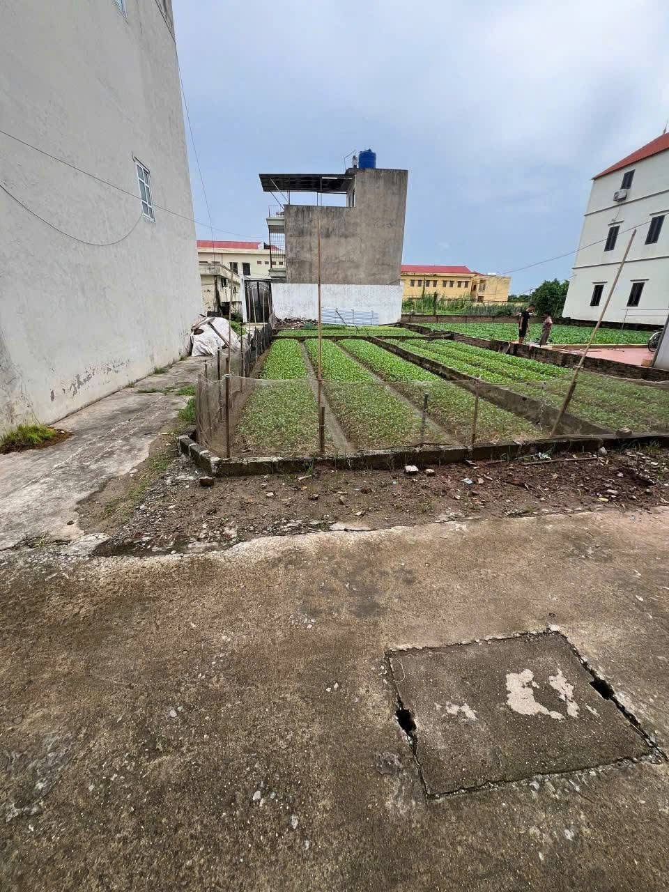 70m2 Đất nằm cạnh lõi Vinolimpic, cạnh trường cấp 1,2. Đầu tư sinh lời lớn