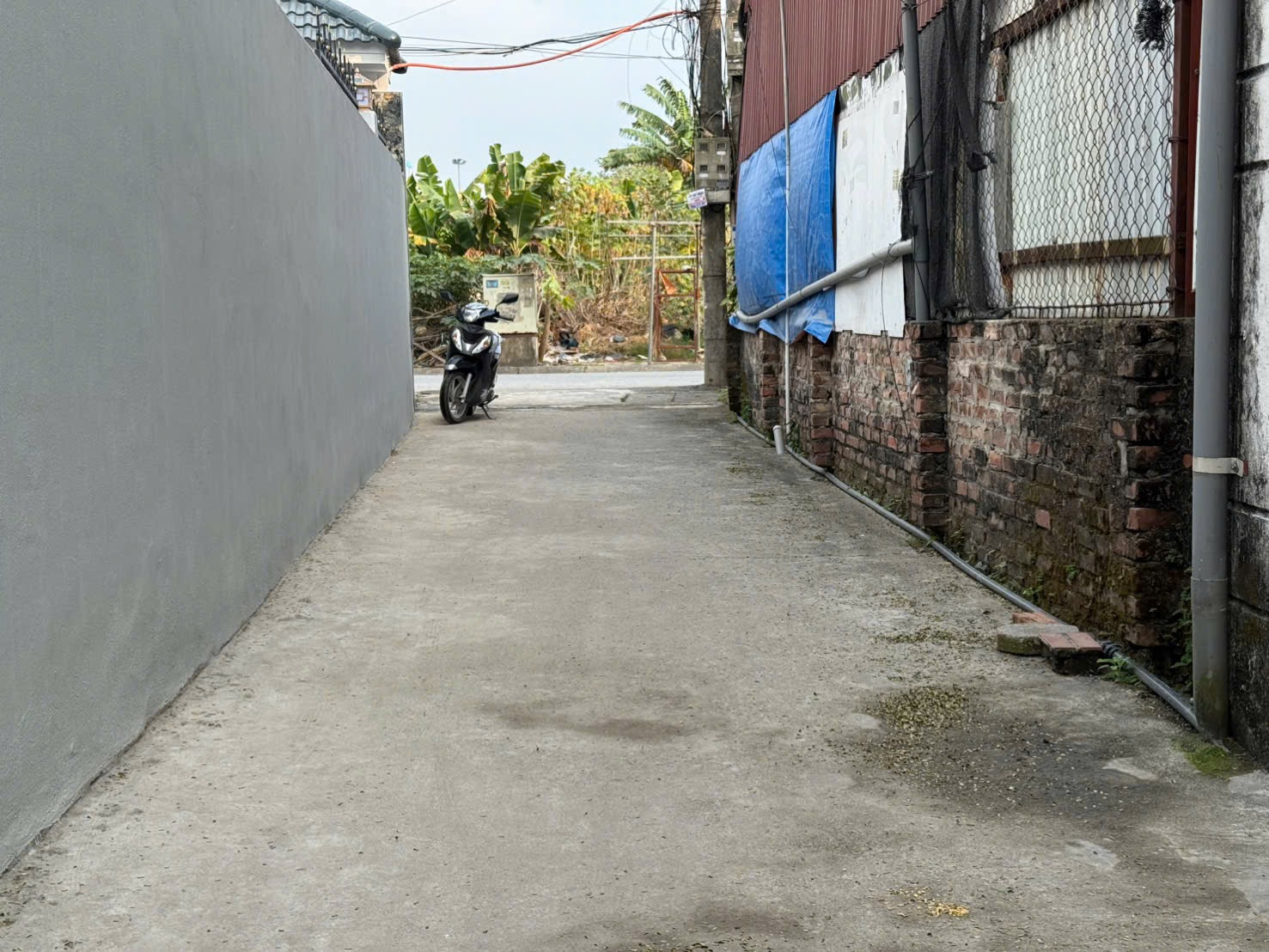 Bán 2 dãy nhà trọ tại Liên Ninh, Thanh Trì, diện tích 125m2, mặt tiền 8m, giá 11,8 tỷ - 1